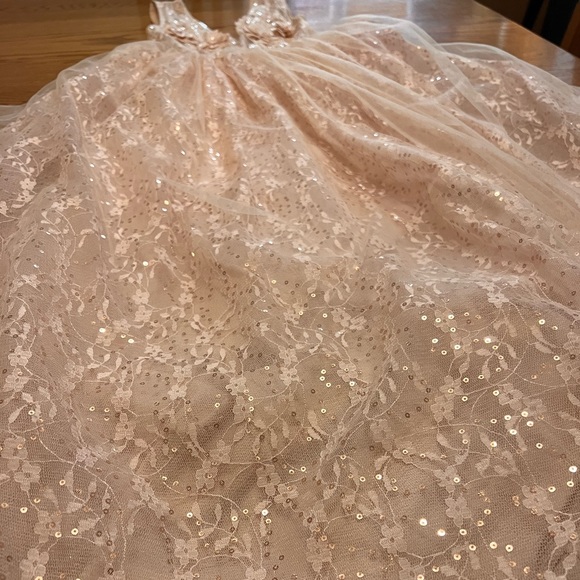STUNNING Whimsical Flower Embellished Blush Pink Sparkly Lace Gown Dress - Picture 5 of 5
